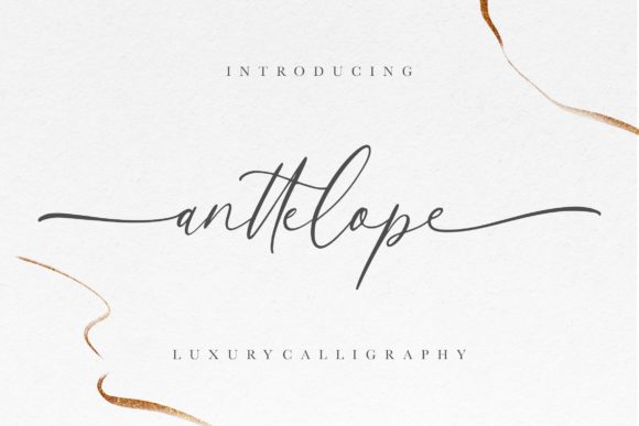 Anttelope: A Luxurious Script Font for Romantic Branding