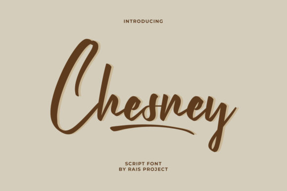 Chesney: The Script Font That Elevates Your Campaigns