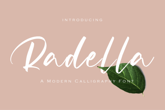 Radella: A Modern Script Font for Web Design